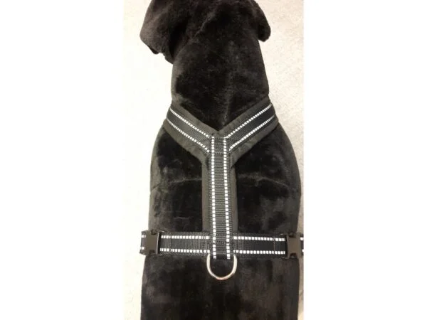 Yukon spor og sykkelsele str 1