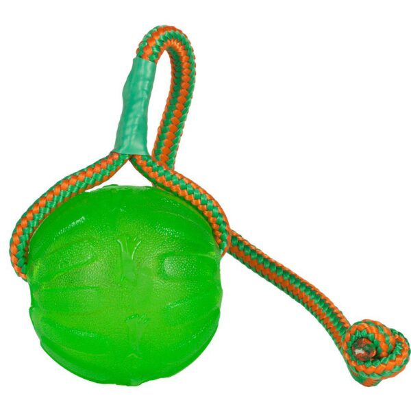Starmark Chewball m/tau grønn L