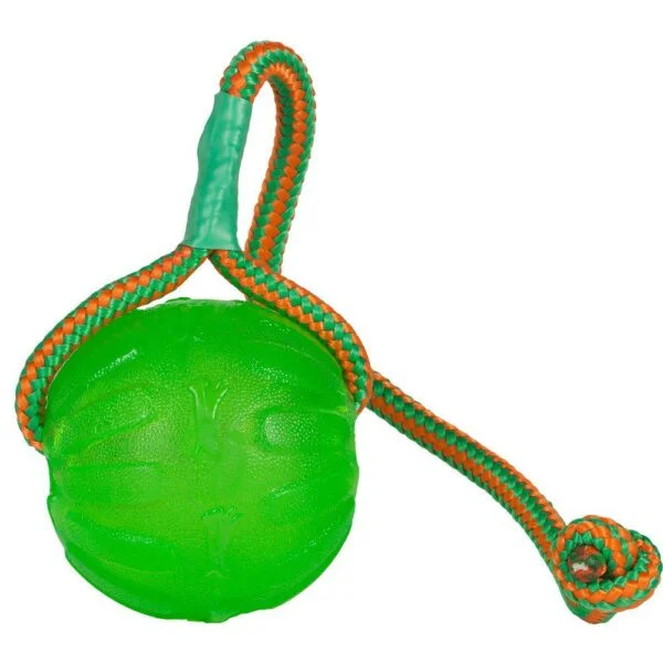 Starmark Chewball m/tau grønn L