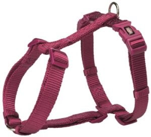 Hundesele Premium Orkide XXS/S 20-32cmx10mm