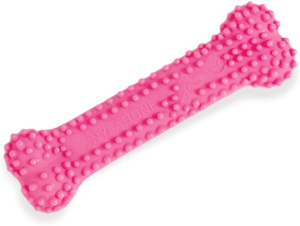 Nylabone Puppy Teething Dental Chew rosa XS