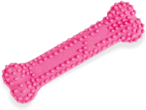 Nylabone Puppy Teething Dental Chew rosa XS