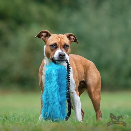 Doggie-Zen draleke med plass til flaske lyxfuskepels med strikk