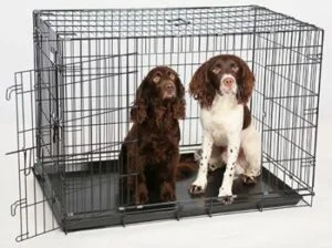 Transportbur hund svart metall 124x76x83cm