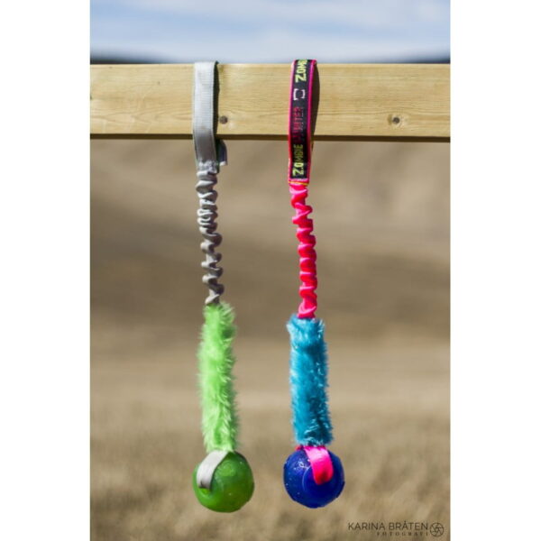 Tugs for Life draleke med Kong Squeez