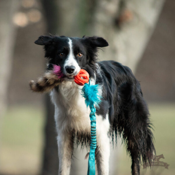 Doggie-Zen draleke Chuckit Breate-ball med vaskebjørnhale L med strikk