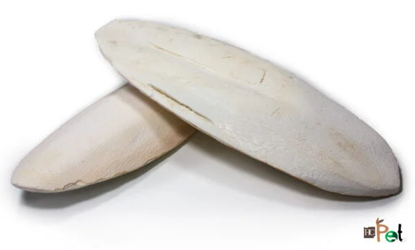 Sepiaskall 20-25cm 1kg løsvekt