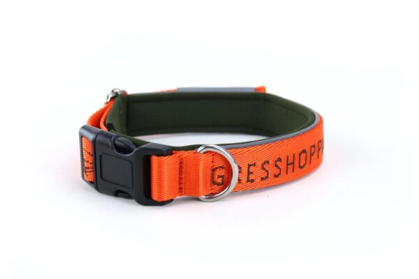 Gresshoppa Begna orange justerbart halsbånd 35/45 cm