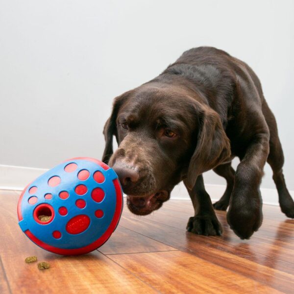 KONG Wally Rewards aktiviseringsleke medium/large