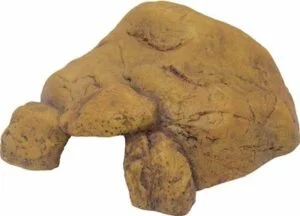 Exo Terra grotte til terrarie XL
