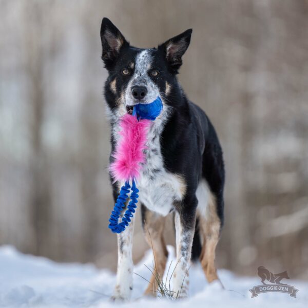 Doggie-Zen draleke fuskepels med Kong Squeezeball med strikk