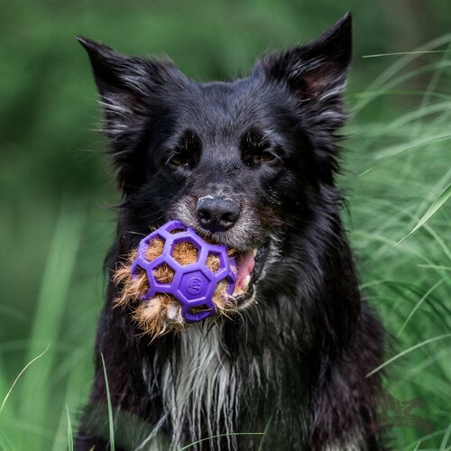 Doggie-Zen kaninpelspip til Hol-ee baller S