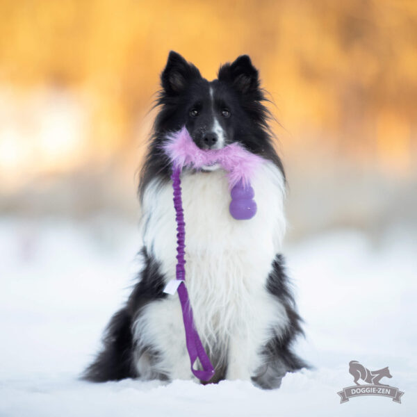 Doggie-Zen draleke fuskepels med Kong Senior S med strikk
