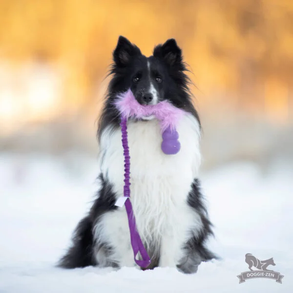 Doggie-Zen draleke fuskepels med Kong Senior S med strikk