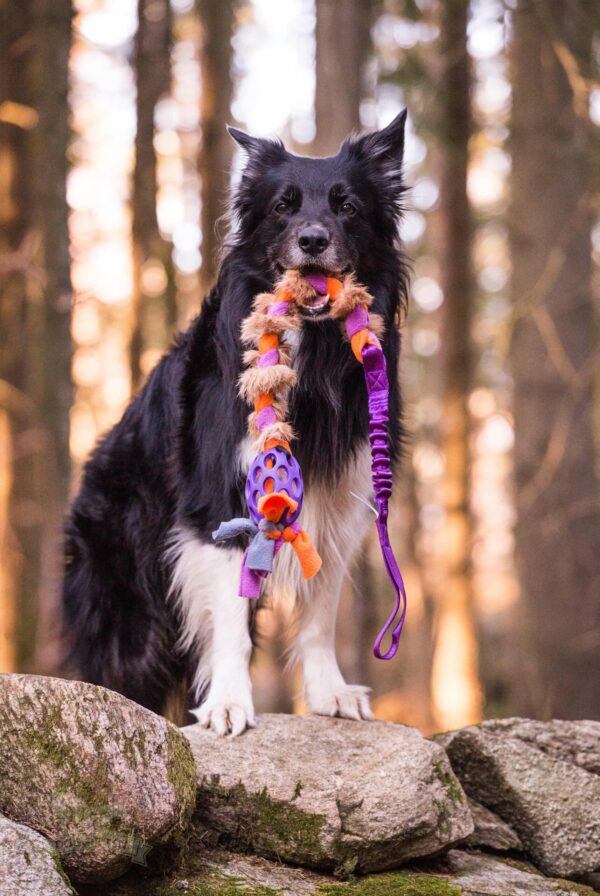 Doggie-Zen draleke Hol-ee fleece- og kaninpels flette med strikk