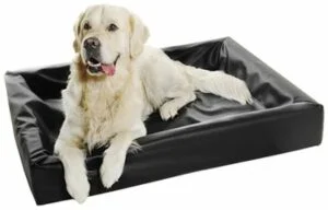 Bia Bed nr 7. 100x120x15cm svart