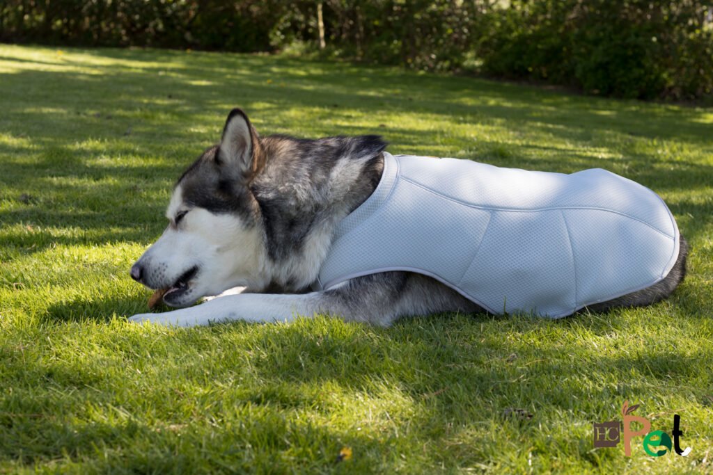 image-11078