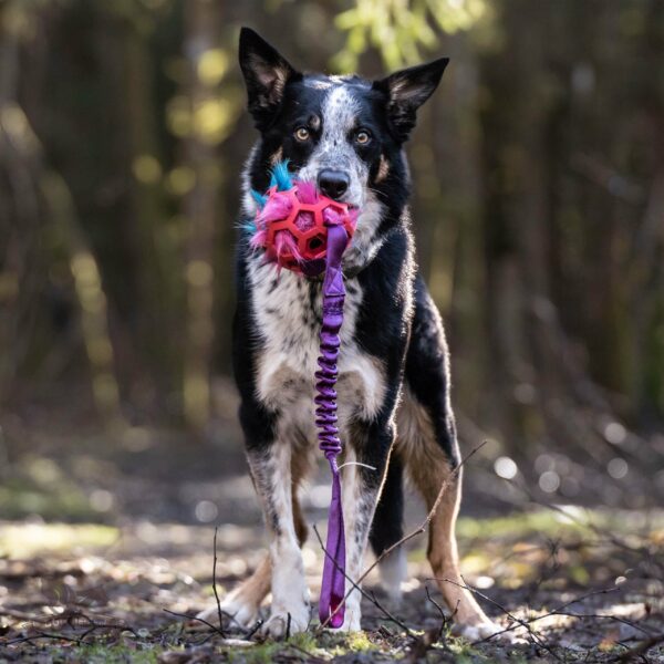 Doggie-Zen draleke Hol-ee Giggler fuskepels med strikk