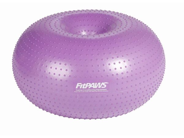 FitPaws Trax Donut