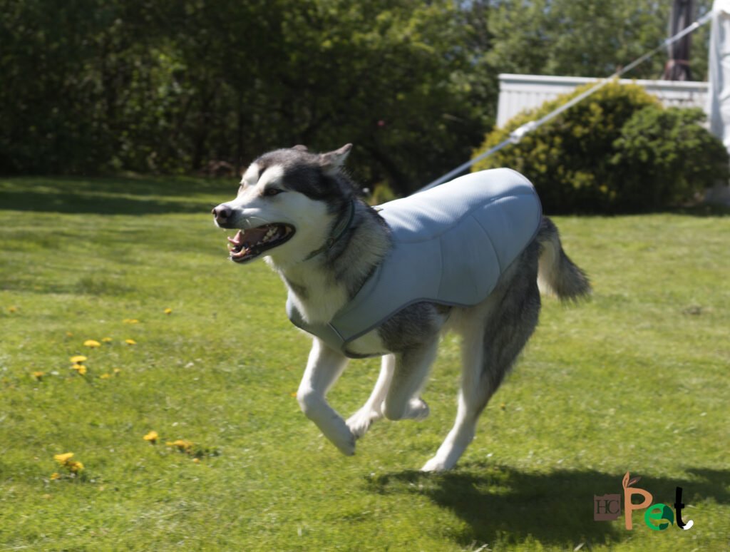 image-11104