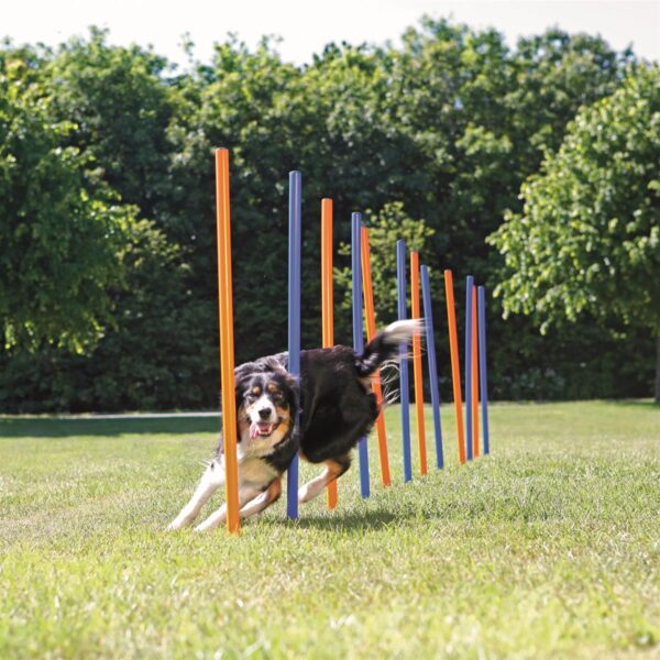Agility slalåm hinder 12stk blå/oransje 1,15mxD:3,3cm
