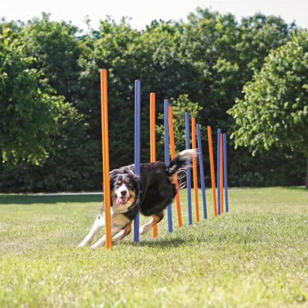 Agility slalåm hinder 12stk blå/oransje 1,15mxD:3,3cm