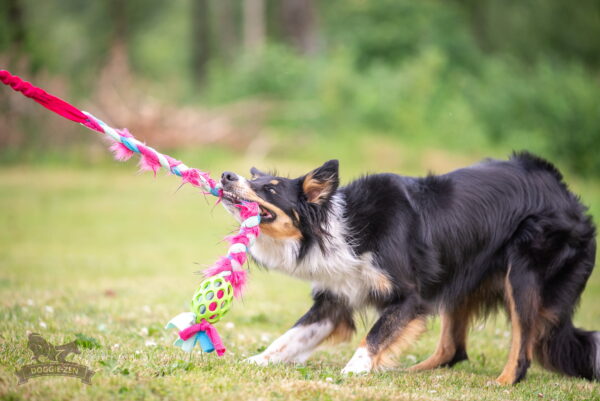 Doggie-Zen draleke Hol-ee fleece- og fuskepels flette med pip og strikk