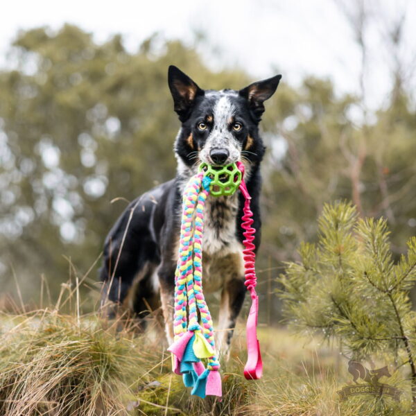 Doggie-Zen draleke blekksprut Hol-ee ball M med strikk