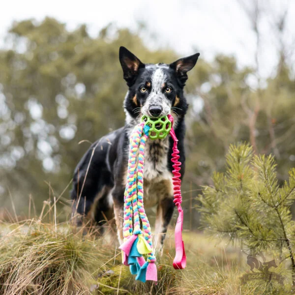Doggie-Zen draleke blekksprut Hol-ee ball M med strikk