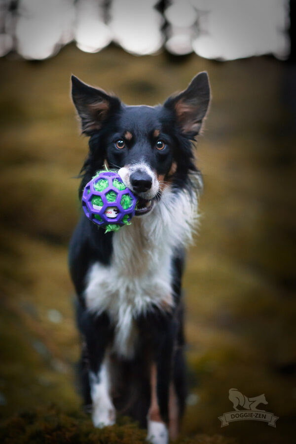 Doggie-Zen fuskepelsprassel til Hol-ee baller M