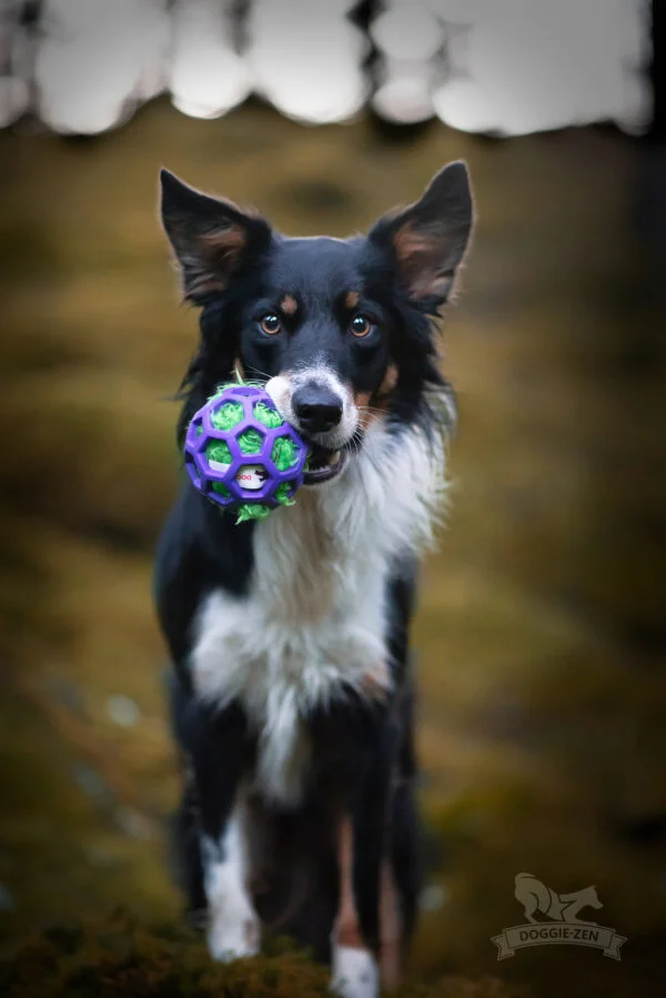 Doggie-Zen fuskepelsprassel til Hol-ee baller M