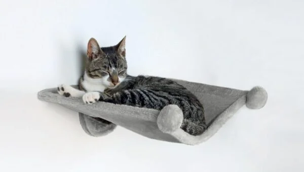 Hengekøye til vegg til katt