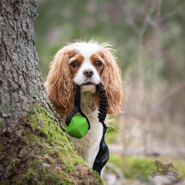 Doggie-Zen draleke Chuckit Erratic-ball M med strikk