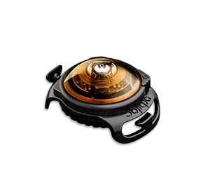 Orbiloc dog safety light amber