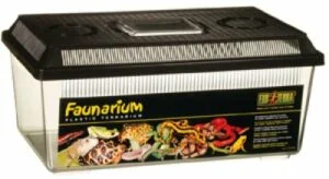 Terrarie i plast flat modell 37x22x16,5cm