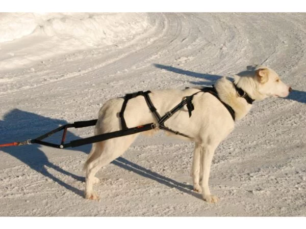 Yukon pinnestykke til kombisele medium