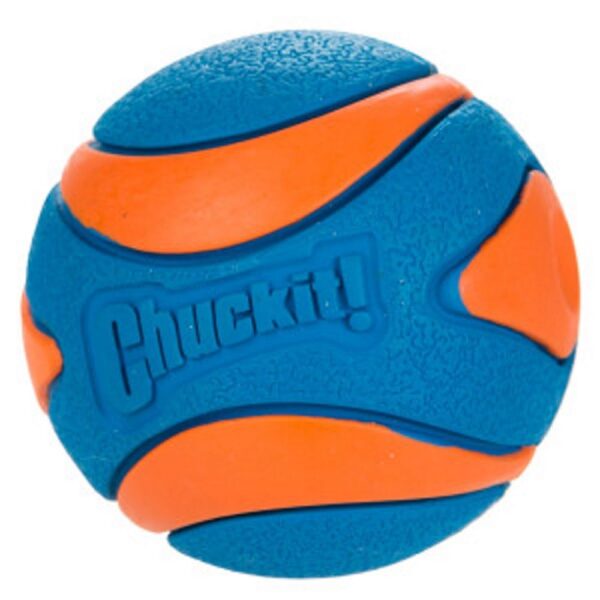 Chuckit Ultra Squeaker Ball L