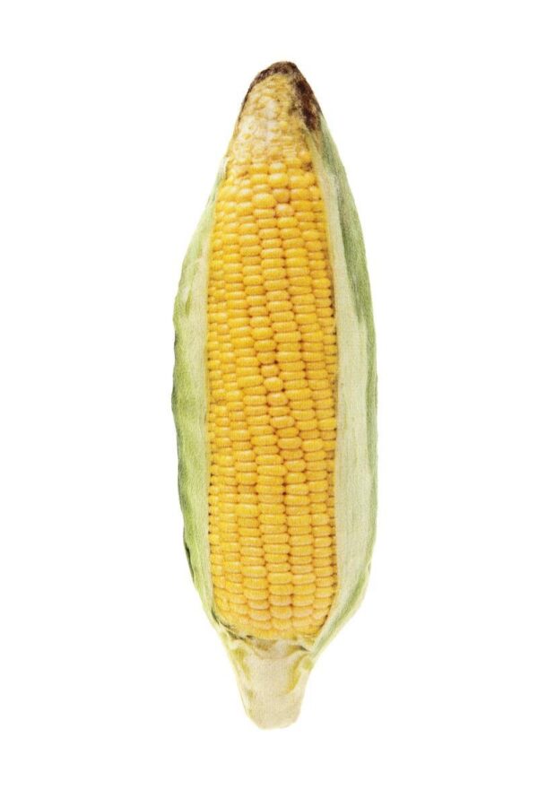 Ferribiella Katteleke Matatabi maiskolbe