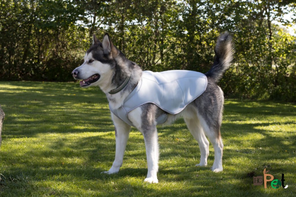 image-11105