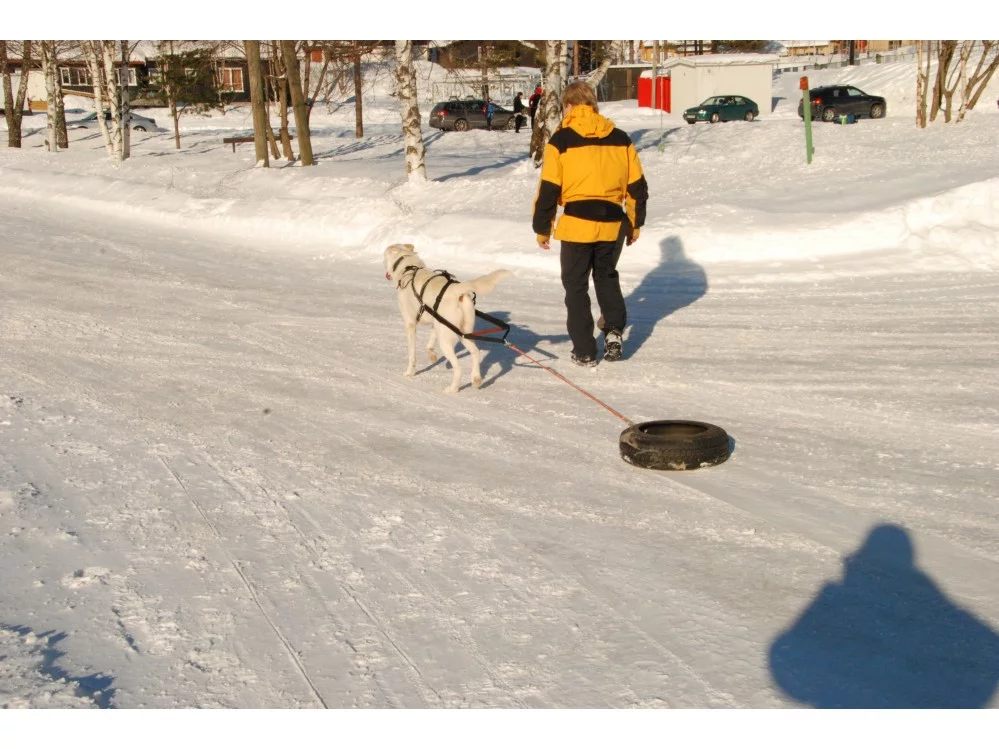 image-579