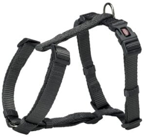 Hundesele Premium Grafitt Grå XS/S 30-44cmx10mm