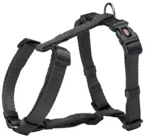 Hundesele Premium Grafitt Grå XS/S 30-44cmx10mm