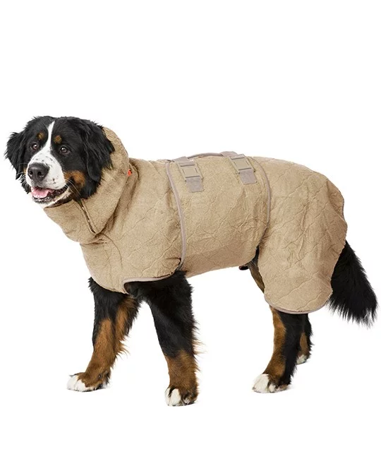 WetDog absorberende dekken str XS, Elmwood