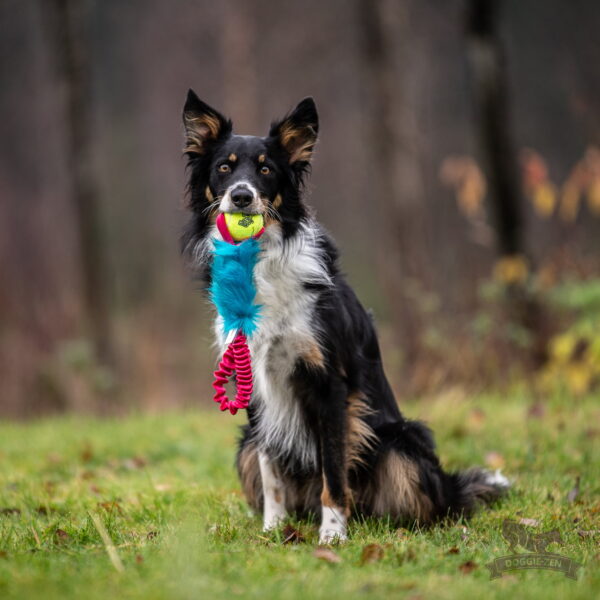 Doggie-Zen draleke fuskepels med Kong Air Squeezeball med strikk
