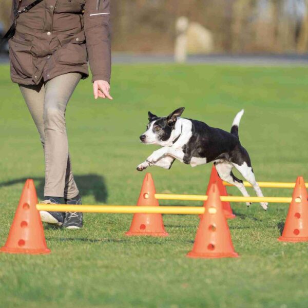 Agility Hinder Cavaletti 6 kjegler ø23x30cm/3 stenger 78cm