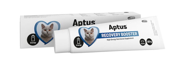 Aptus Reconvalescent katt oral pasta 60g