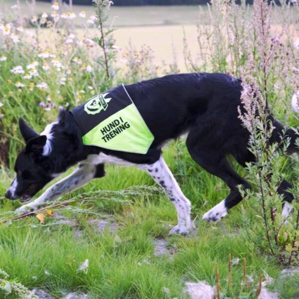 Canelana markeringsdekken/tjenestetegn "Hund i trening" X-small