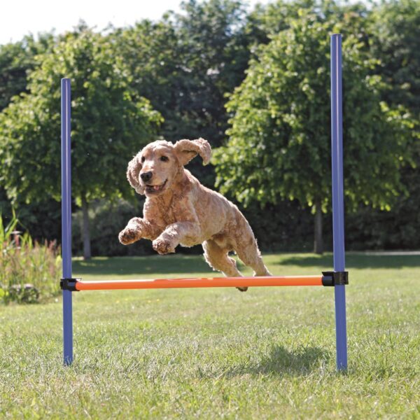 Agility hinder blå/oransje 1,29x1,15m