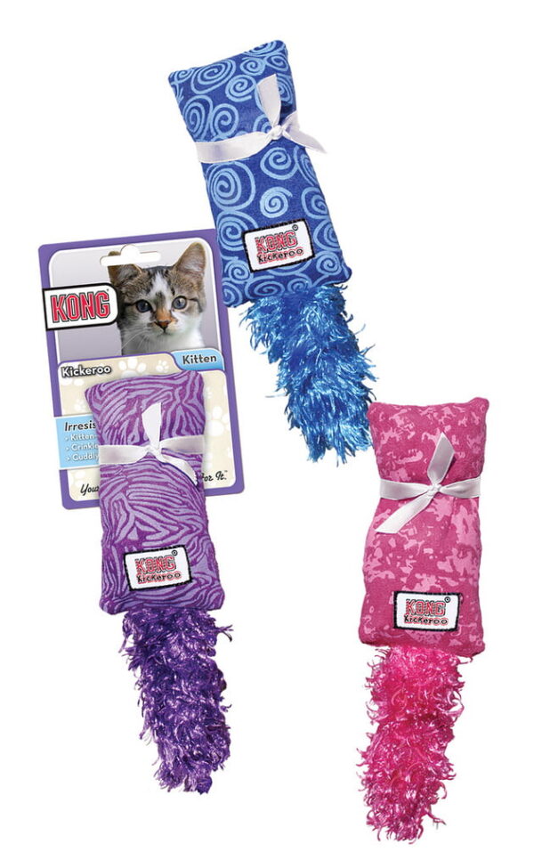 Kong cat kitten kickeroo