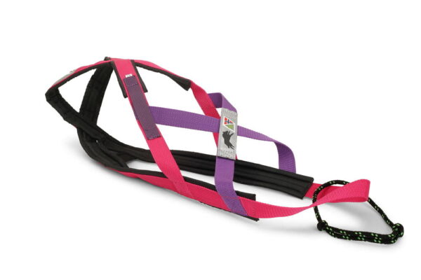 Gresshoppa Finnmark Nomesele - Dobbel bryststolpe - pink/purple XL